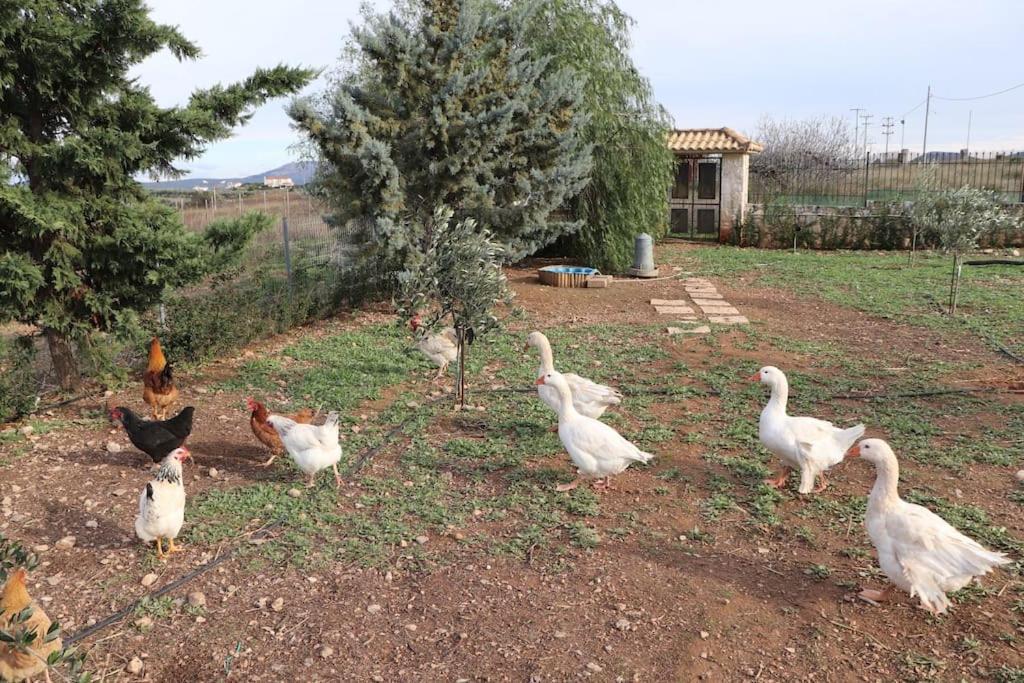 Holiday home For4